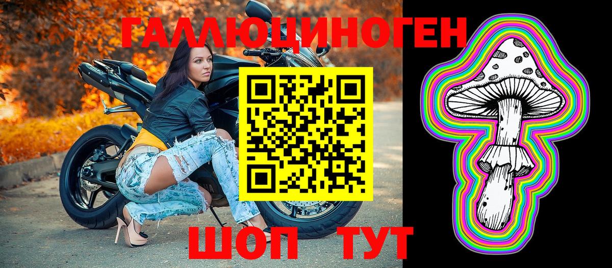 Ахтубинск  Псилоцибиновые грибы MAGIC MUSHROOMS  Вход с VPN 