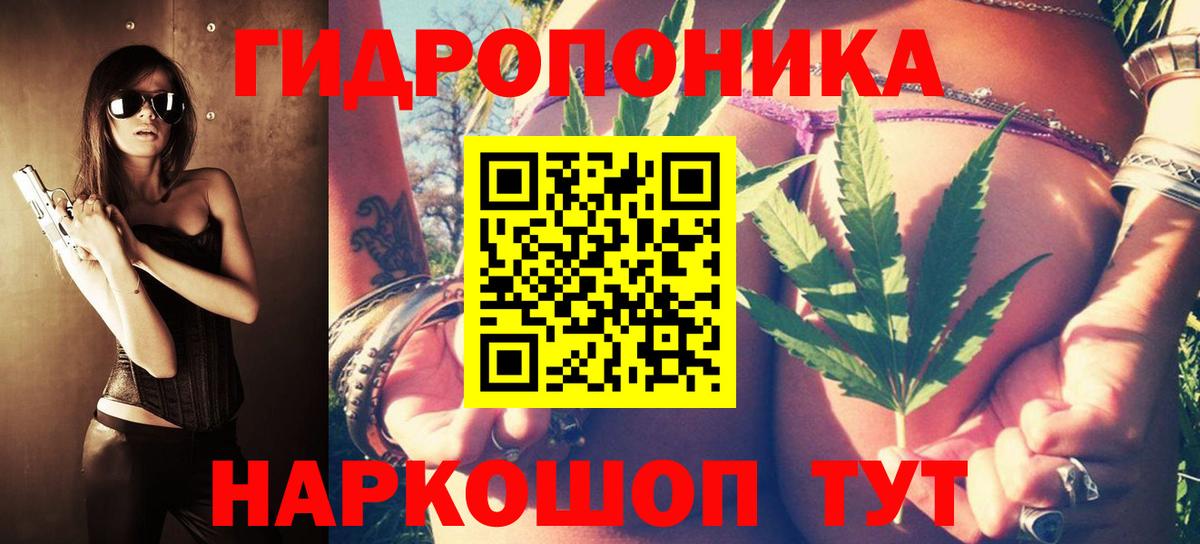 Бошки Шишки SATIVA & INDICA  Шишки марихуана семена  Каннабис MAZAR  Ахтубинск 